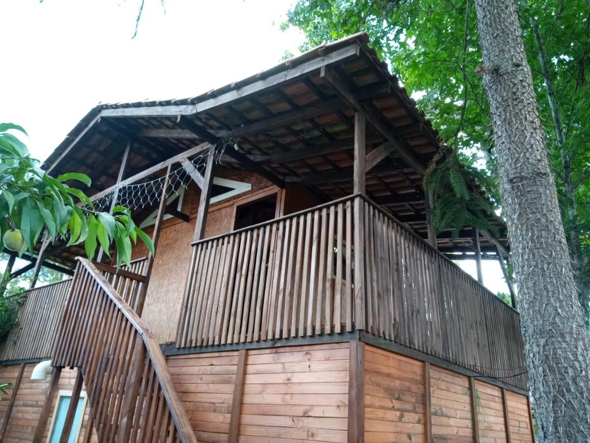 Hotel Mini House Park Campo Alegre  Zewnętrze zdjęcie