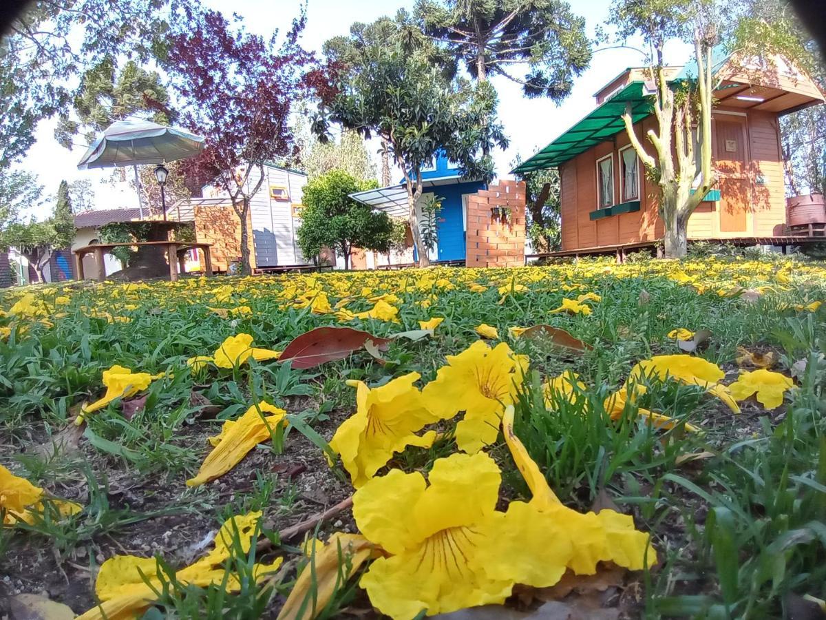 Hotel Mini House Park Campo Alegre  Zewnętrze zdjęcie